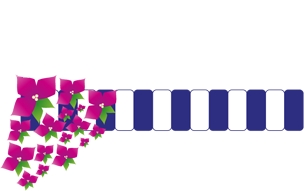 Viya Apart